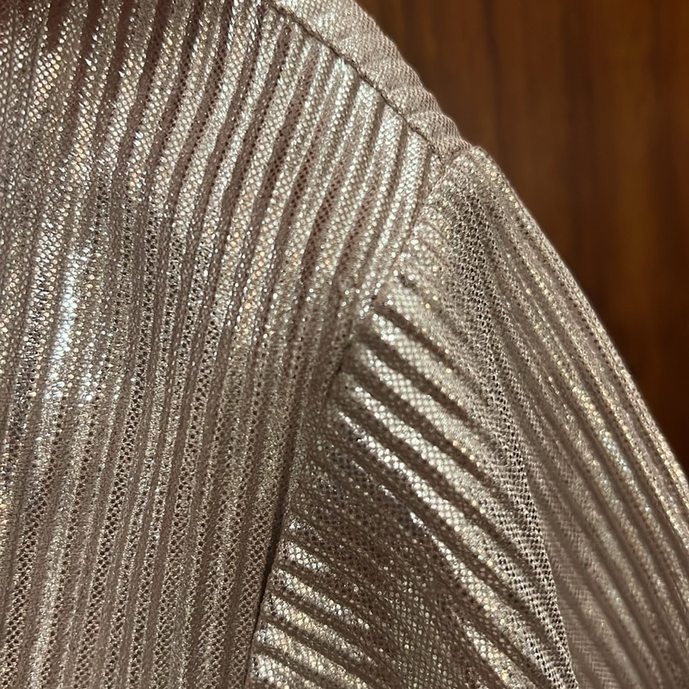 Ripley Rader RARE metallic silver top - Picture 5 of 6